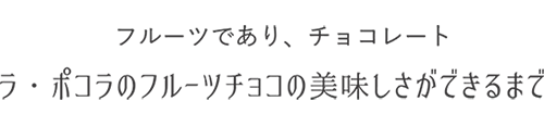 フルーツであり、チョコレート ラ・ポコラのフルーツチョコの美味しさができるまで